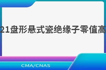 DL/T 2453—2021盘形悬式瓷绝缘子零值高压冲击检测规范