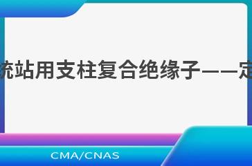 DL/T 1048—2021电力系统站用支柱复合绝缘子——定义、试验方法及接收准则