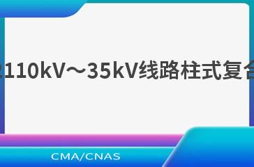 DL/T 2387—202110kV～35kV线路柱式复合绝缘子技术规范