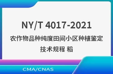 NY/T 4017-2021农作物品种纯度田间小区种植鉴定技术规程 稻