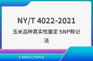 NY/T 4022-2021玉米品种真实性鉴定 SNP标记法