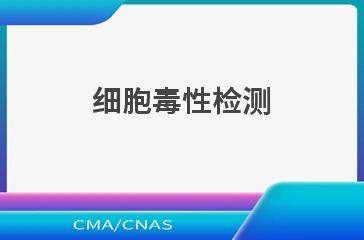 细胞毒性检测