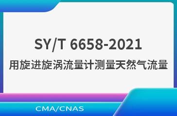 SY/T 6658-2021用旋进旋涡流量计测量天然气流量