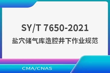 SY/T 7650-2021盐穴储气库造腔井下作业规范