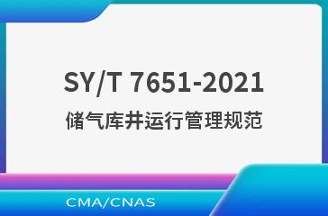 SY/T 7651-2021储气库井运行管理规范