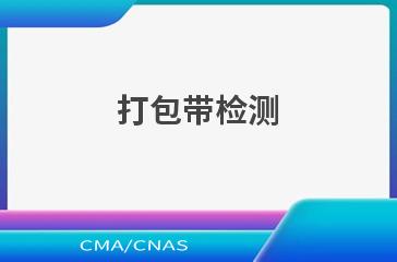 打包带检测
