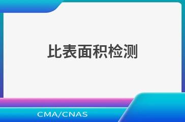 比表面积检测