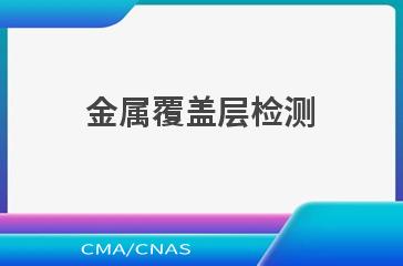 金属覆盖层检测