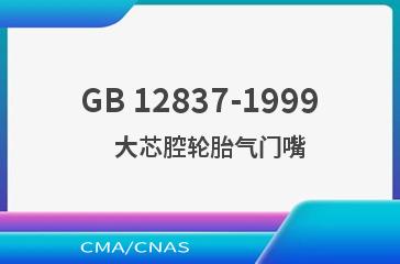 GB 12837-1999    大芯腔轮胎气门嘴
