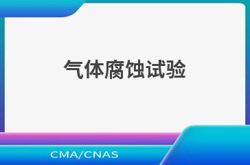 气体腐蚀试验