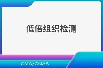 低倍组织检测