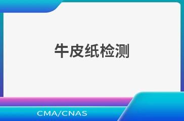 牛皮纸检测